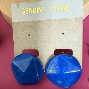 Blue Genuine Stone Earrings